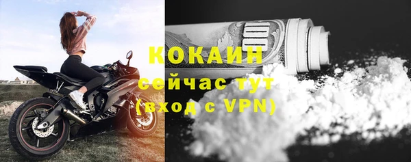 винт Осинники
