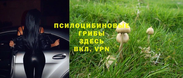 винт Осинники